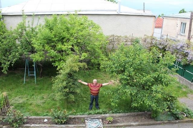 Guesthouse Natali Telawi Zewnętrze zdjęcie
