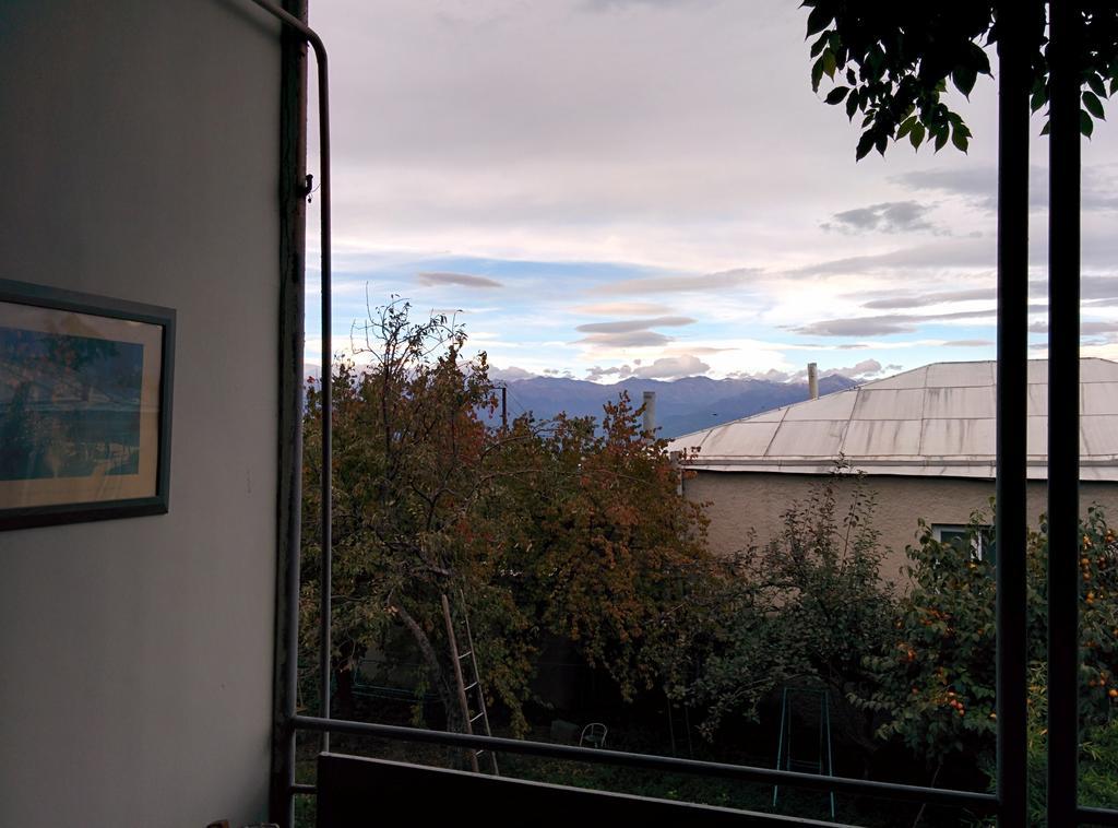 Guesthouse Natali Telawi Zewnętrze zdjęcie