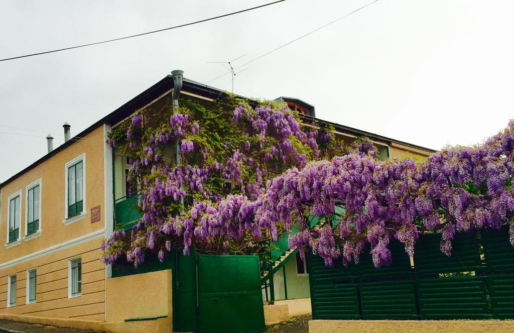 Guesthouse Natali Telawi Zewnętrze zdjęcie