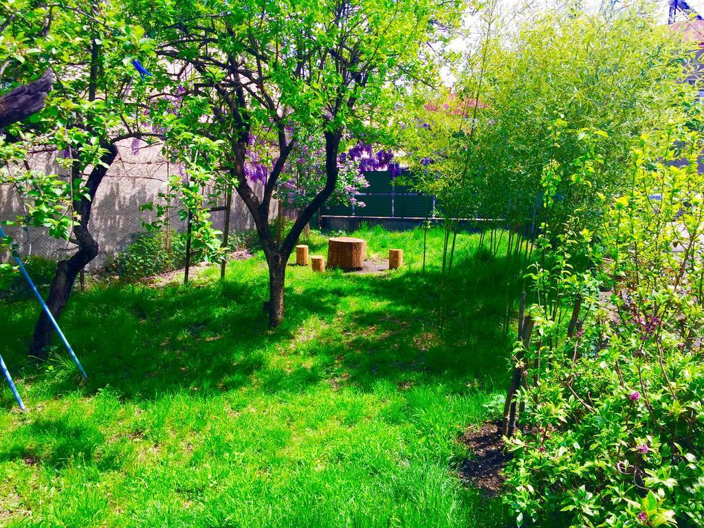 Guesthouse Natali Telawi Zewnętrze zdjęcie